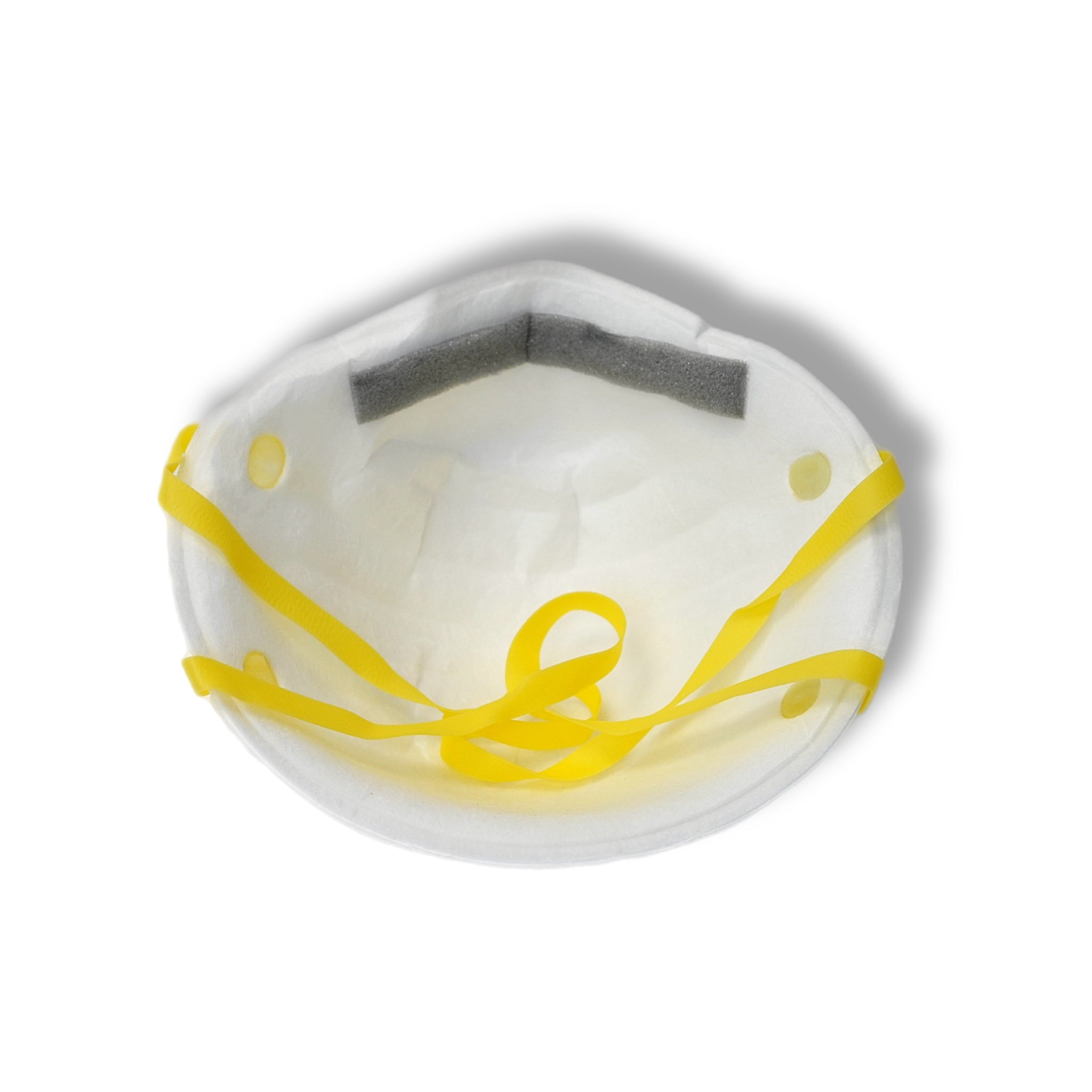 N95 Disposable Paint Prep Sanding Disposable Respirator Mask (2-Pack)